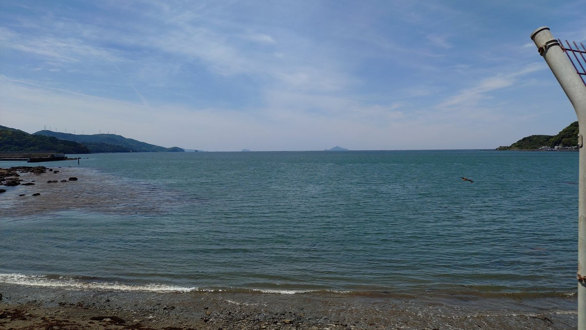 雅樹ん tweet media
