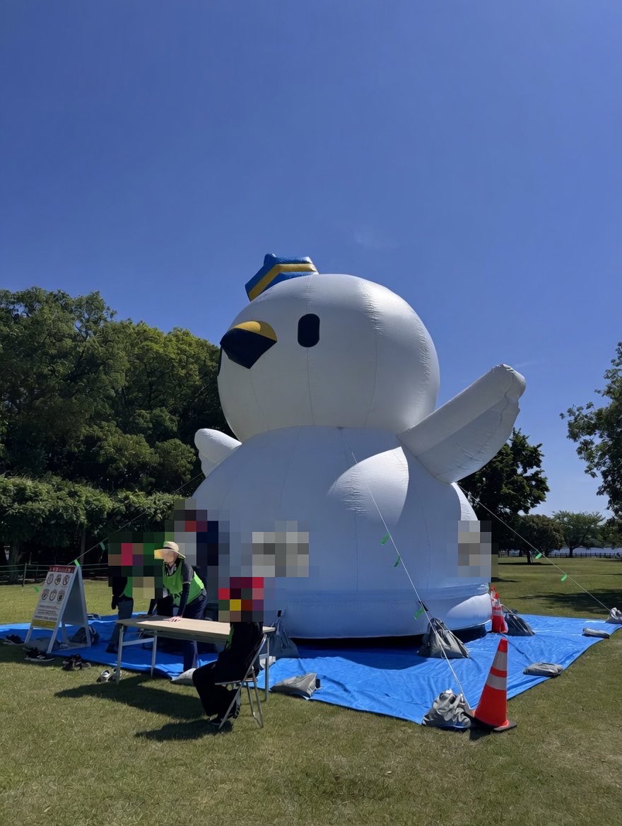 日本料理 蝶や tweet media