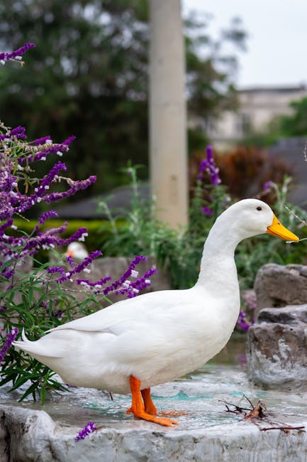 Bryan French tweet media