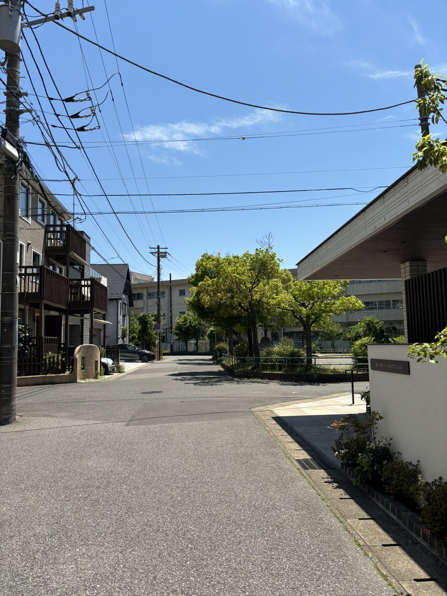 ばっしー3 tweet media