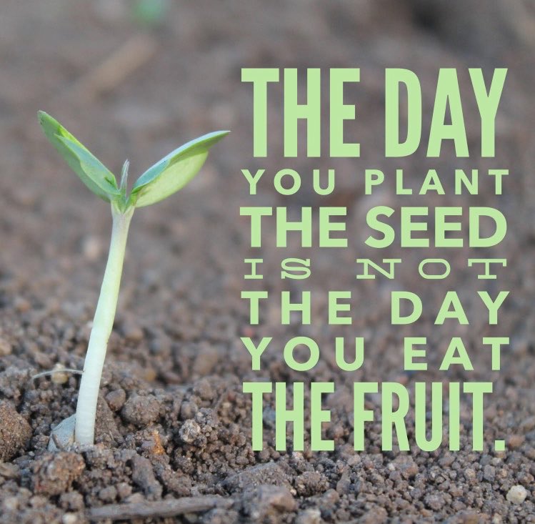 within_divine's tweet image. 🌱