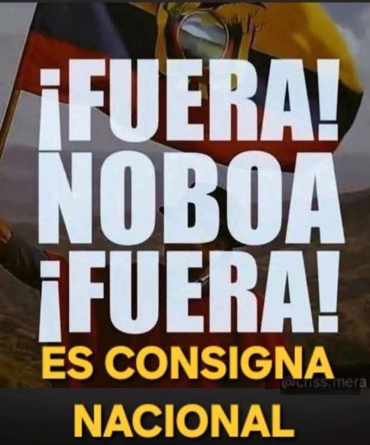 Fernando Carrillo tweet media