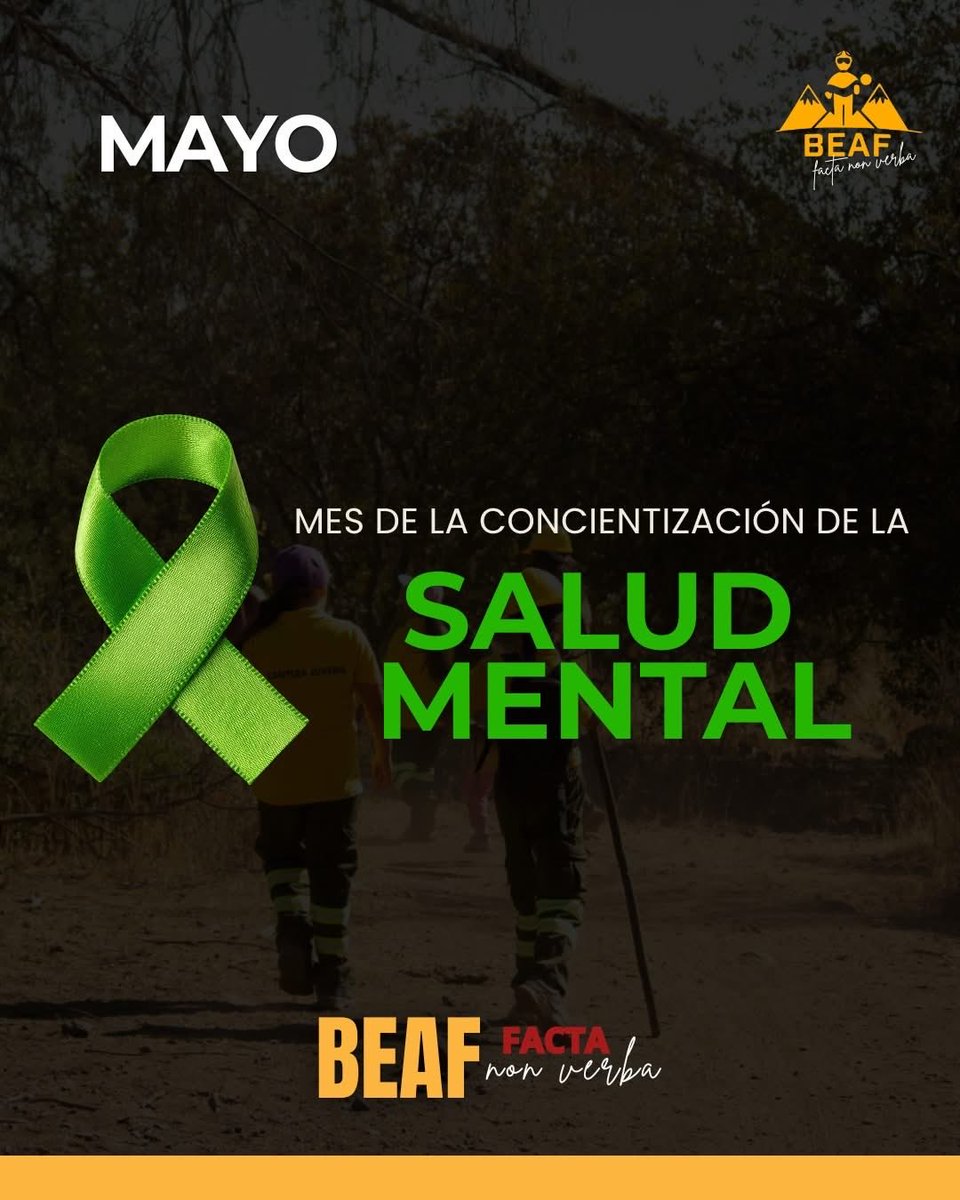 1ª Brigada Forestal Voluntaria de Chile tweet media
