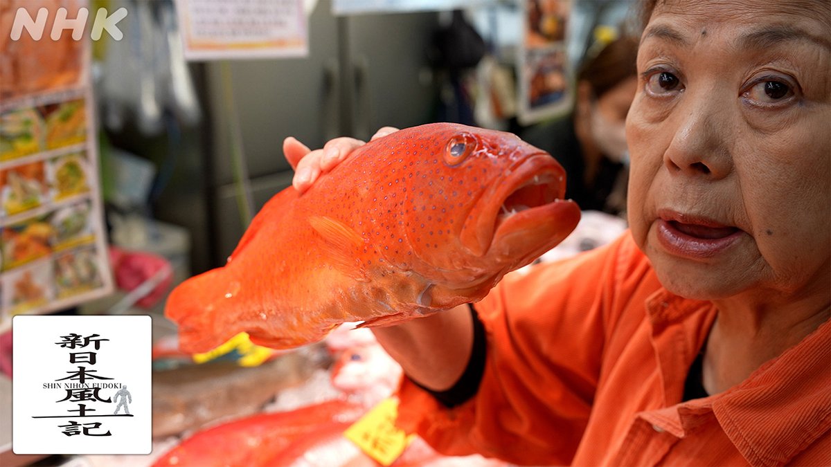 沖縄県風土記 限定版 📺[BS]今夜8時00分 「#新日本風土記」 沖縄の市場 色鮮やかな魚