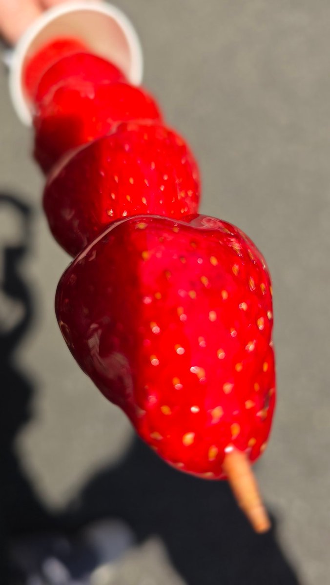 いちごの時期は絶対にたんふる食べた方がいいぞ！生いちごだぞ！！！🍓︎