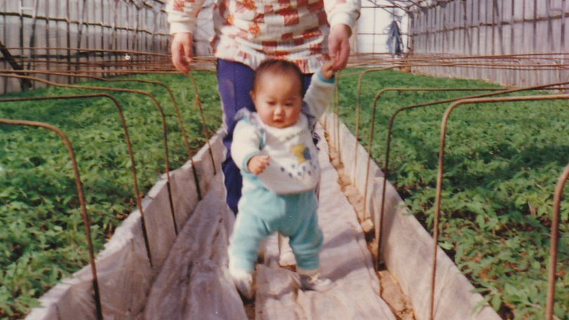 曽我農園 SOGA FARM @規格外トマトの世界 tweet media