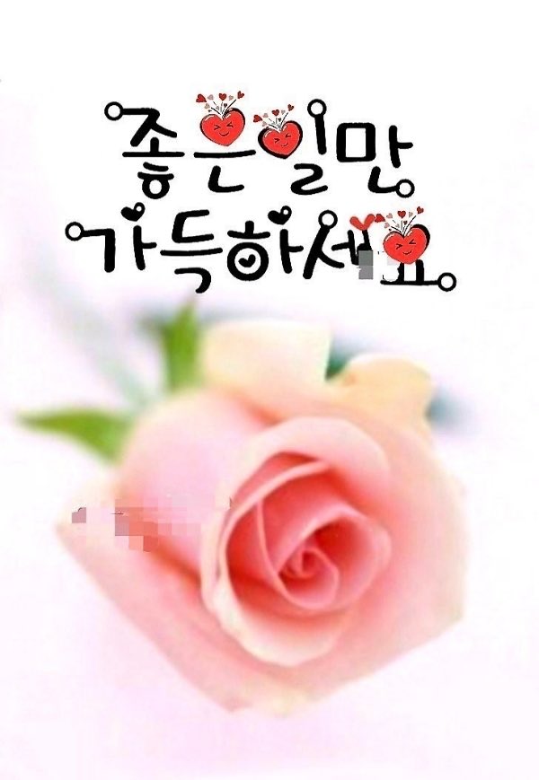 백곰 tweet media