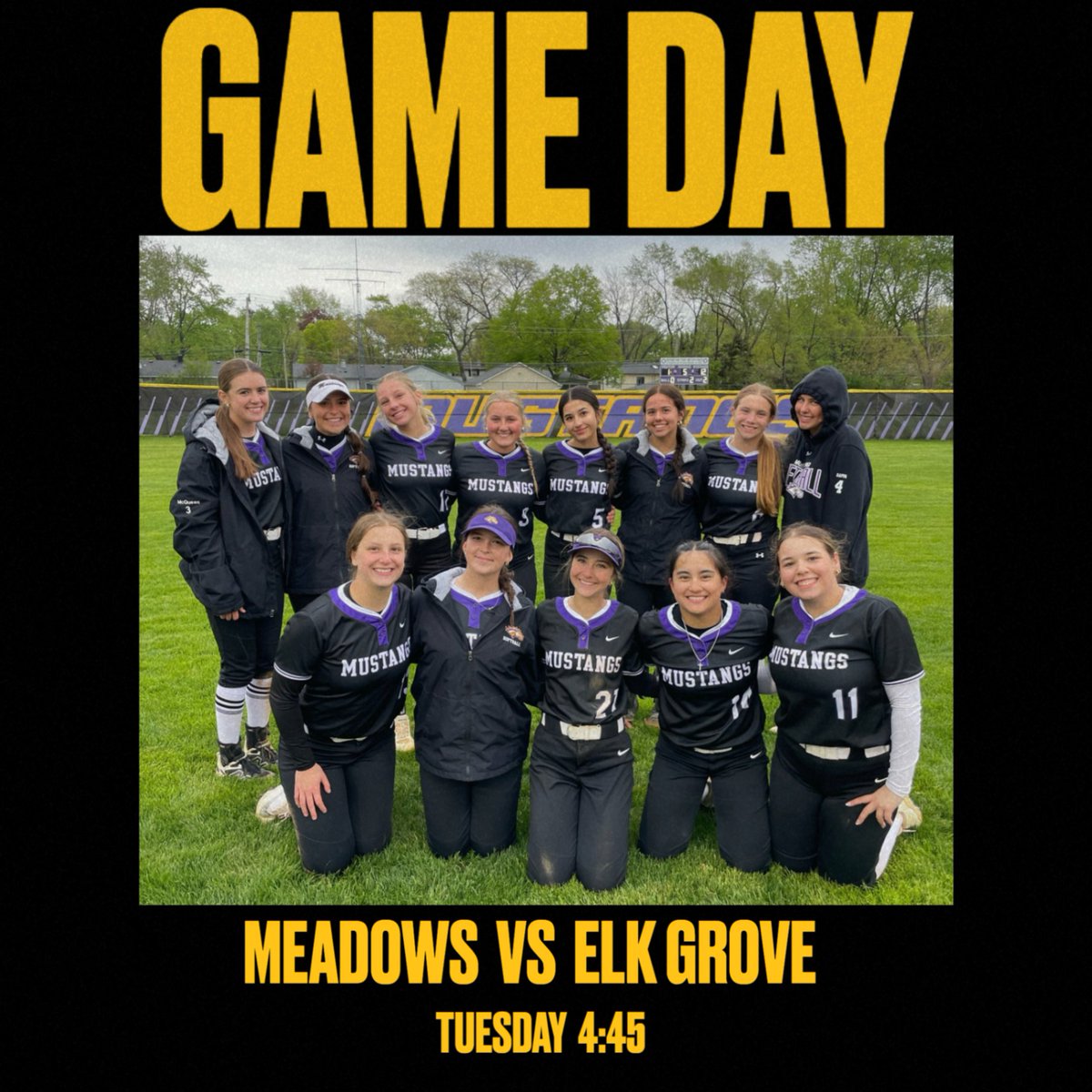 Rolling Meadows Softball tweet media