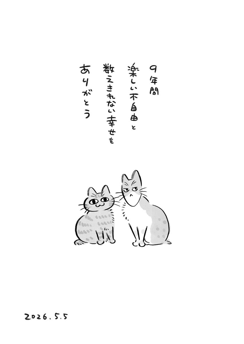 矢野満月🐈 tweet media