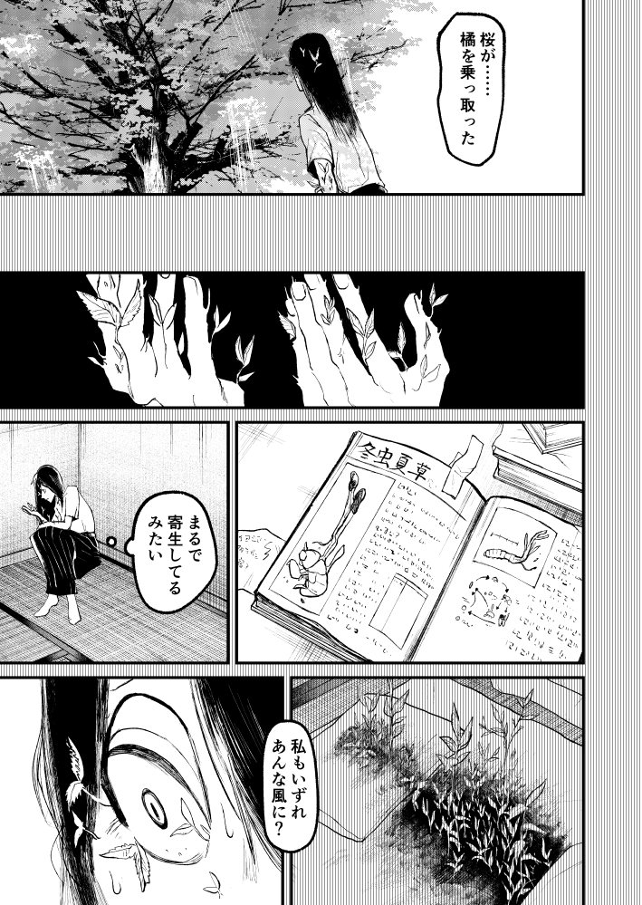 (2/3) 