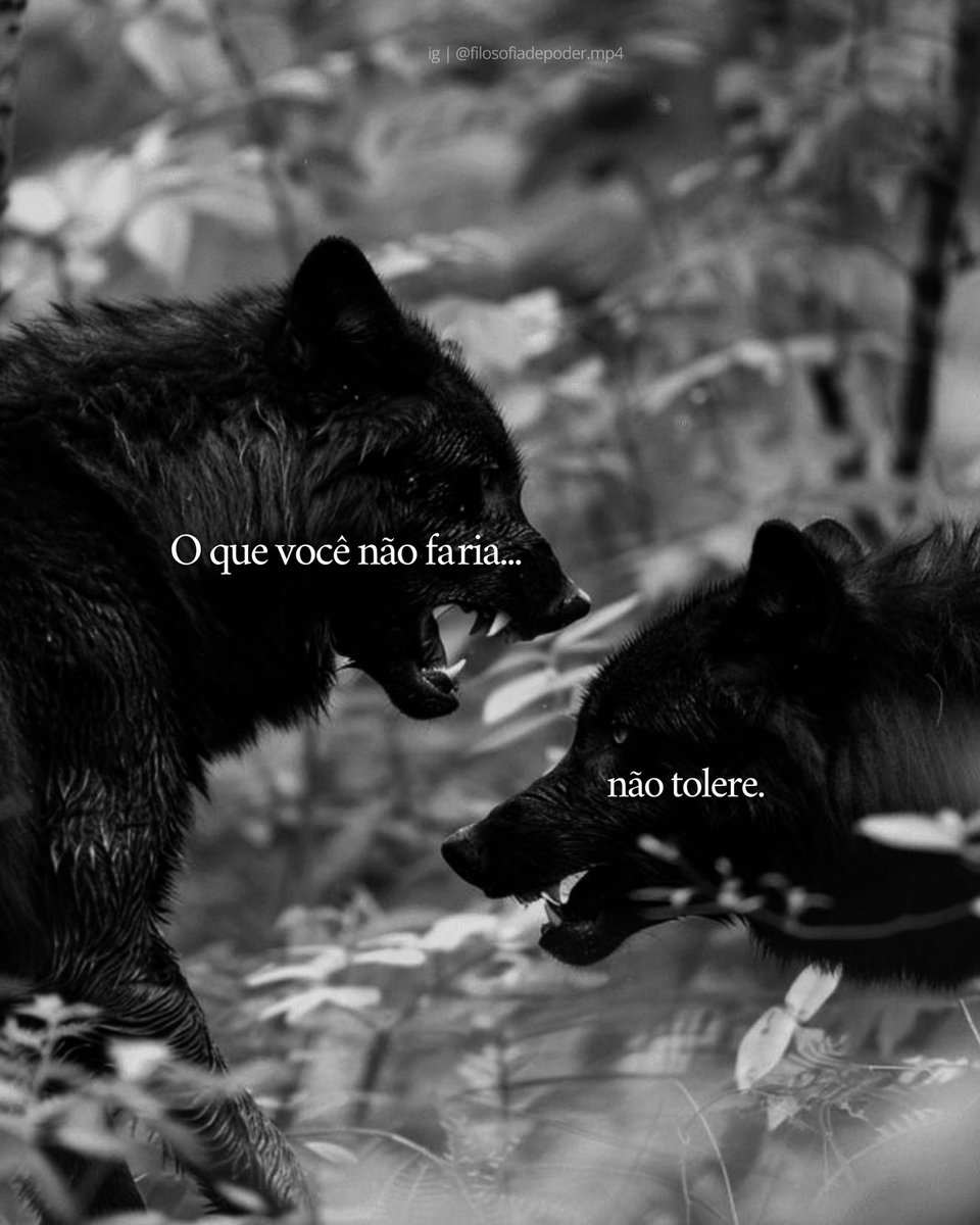 filosofia de poder (@mensagemdepoder) on Twitter photo 