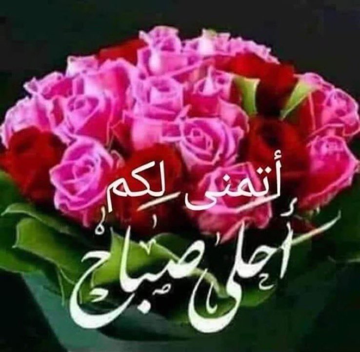ابو نـايـف tweet media