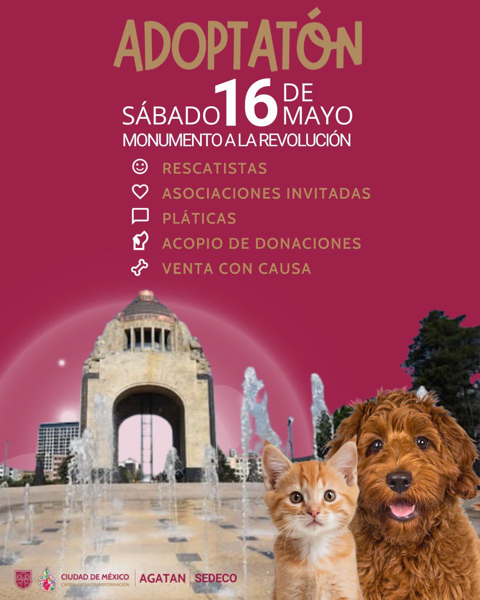 Agencia de Atención Animal tweet media