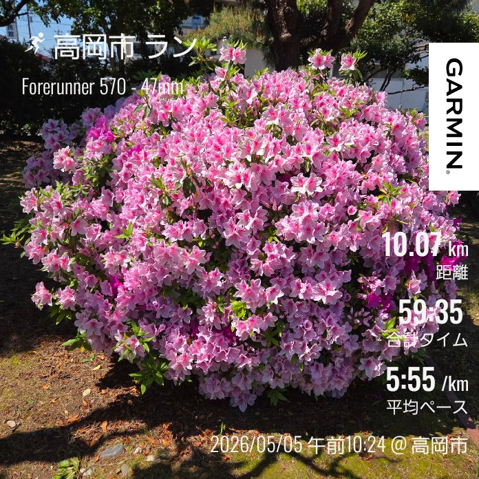 ヤンヤン tweet media
