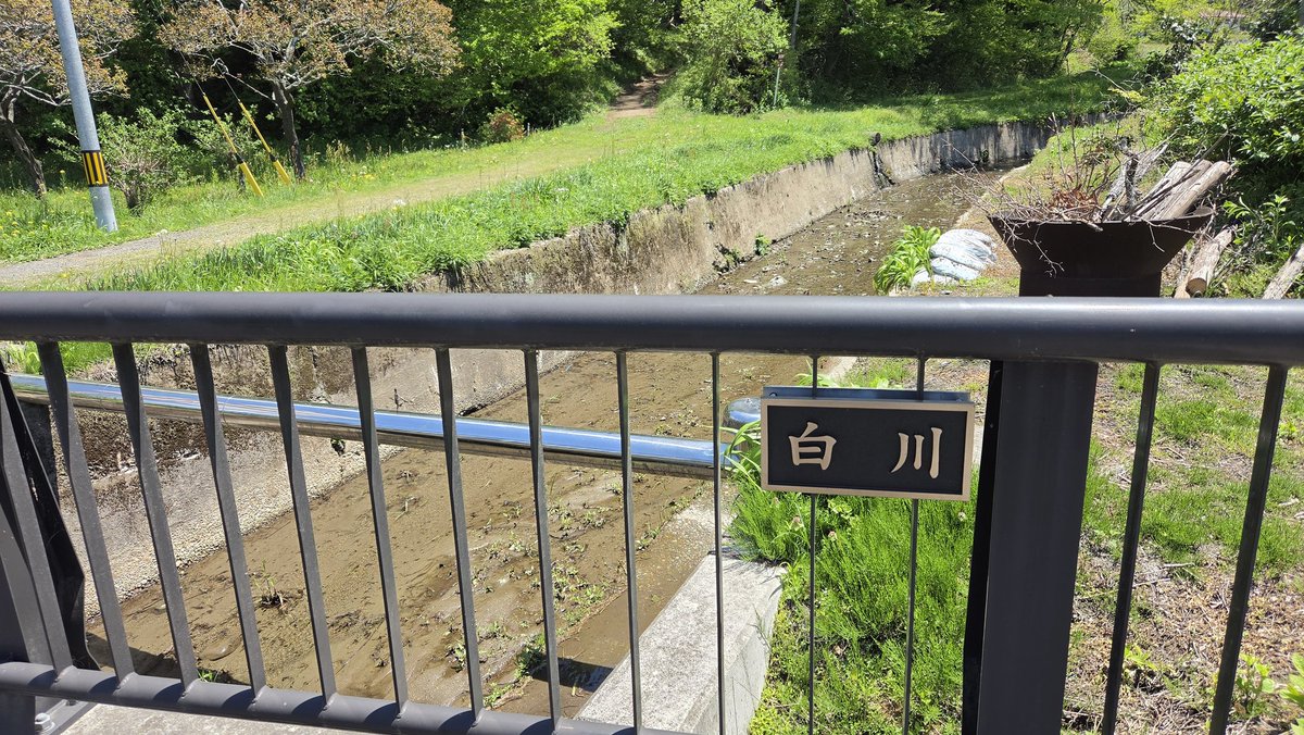 ないで tweet media