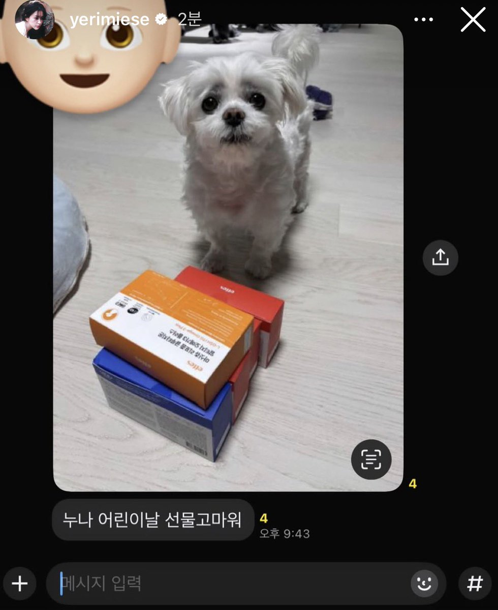 둥아리파 tweet media