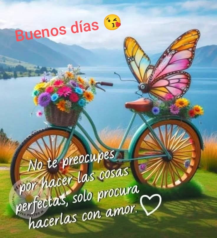 Virginia Rios tweet media