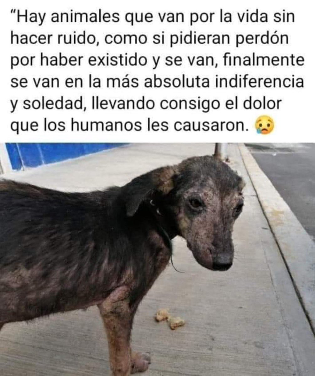 Alexa Gómez tweet media