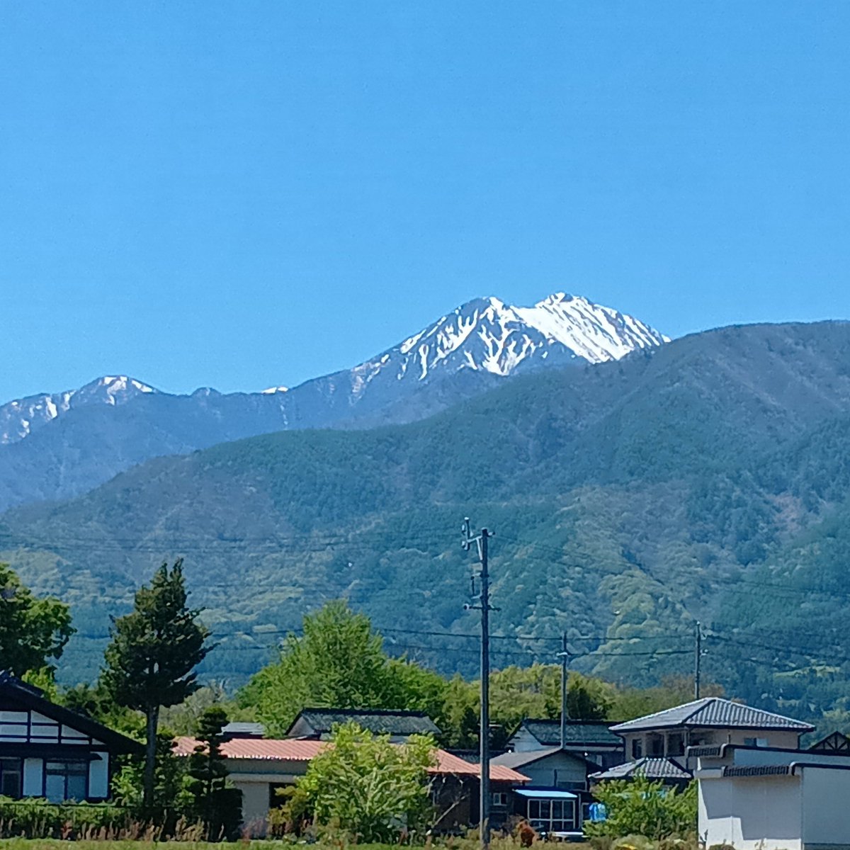 かぐら tweet media