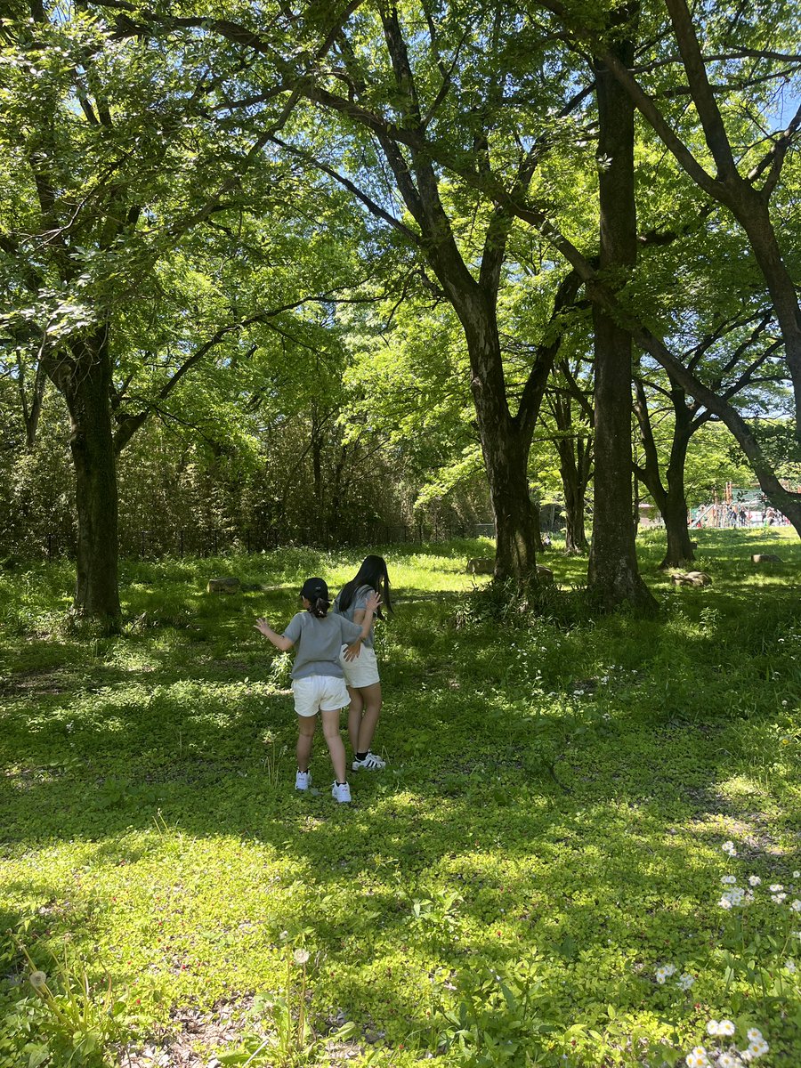 Post by みかん🍊 on X: こどもの日〜🎏