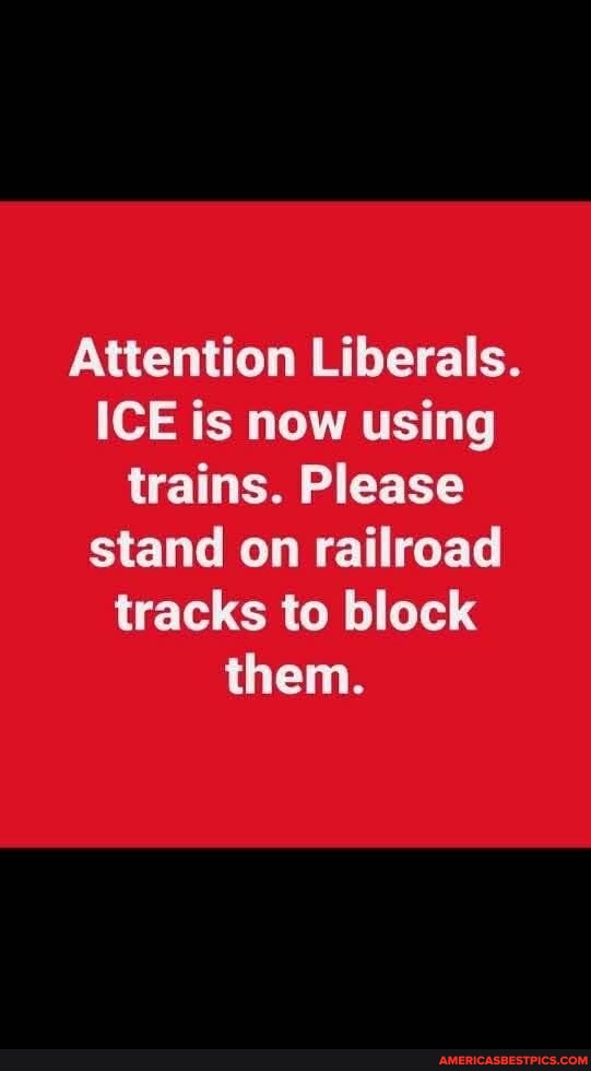 Dalegusmc1981's tweet image. #attention #liberals #ice 
americasbestpics.com/picture/buUwOQ…
#AmericasBestPicsAndVideos