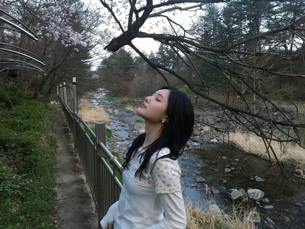 꿍이 tweet media