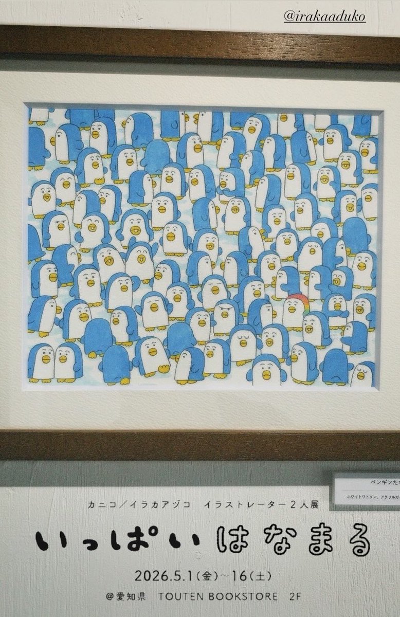10:00-18:00 TOUTENさんにて 「いっぱいはなまる」本日も開催中です