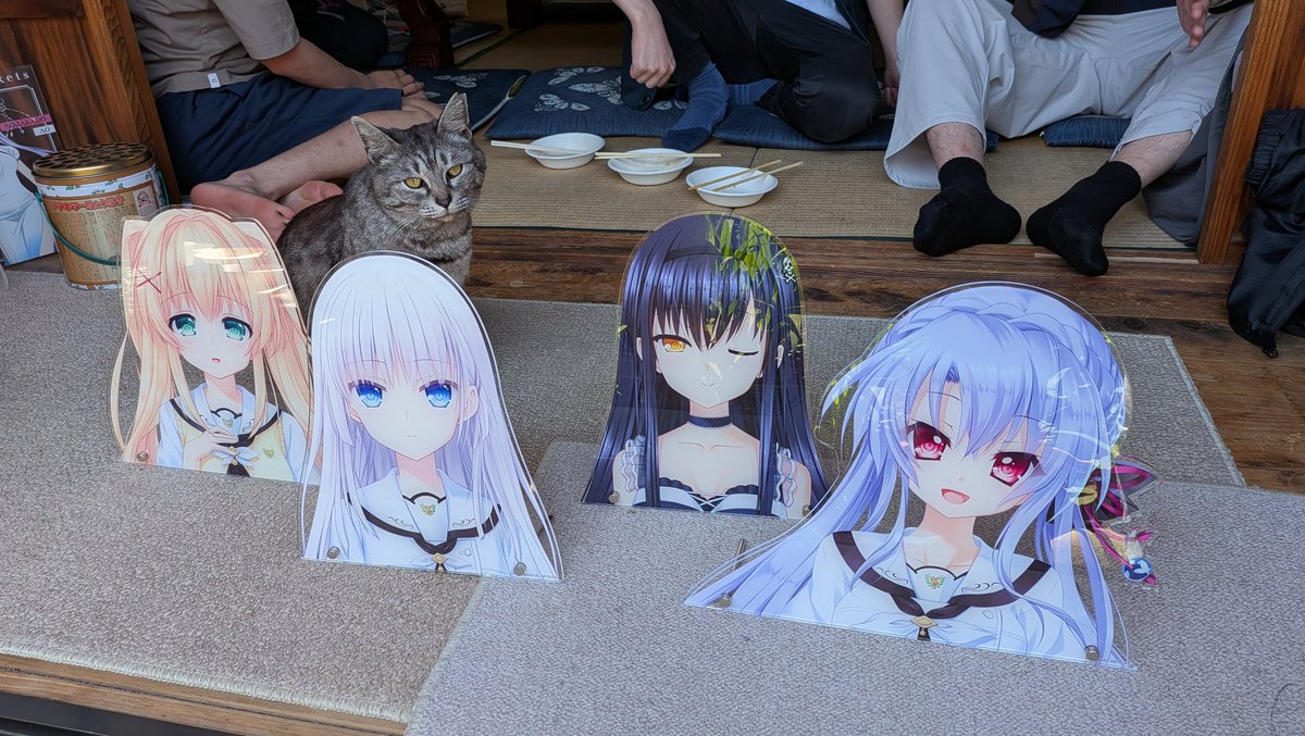 （・ヘ゜）ノ tweet media