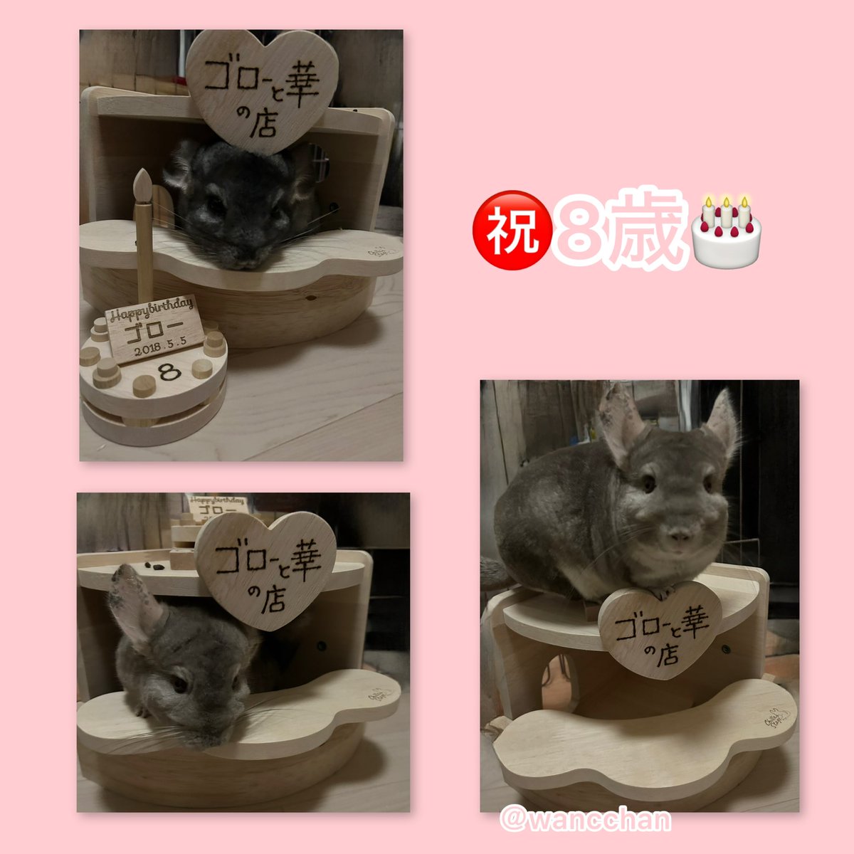 まるちゃん tweet media