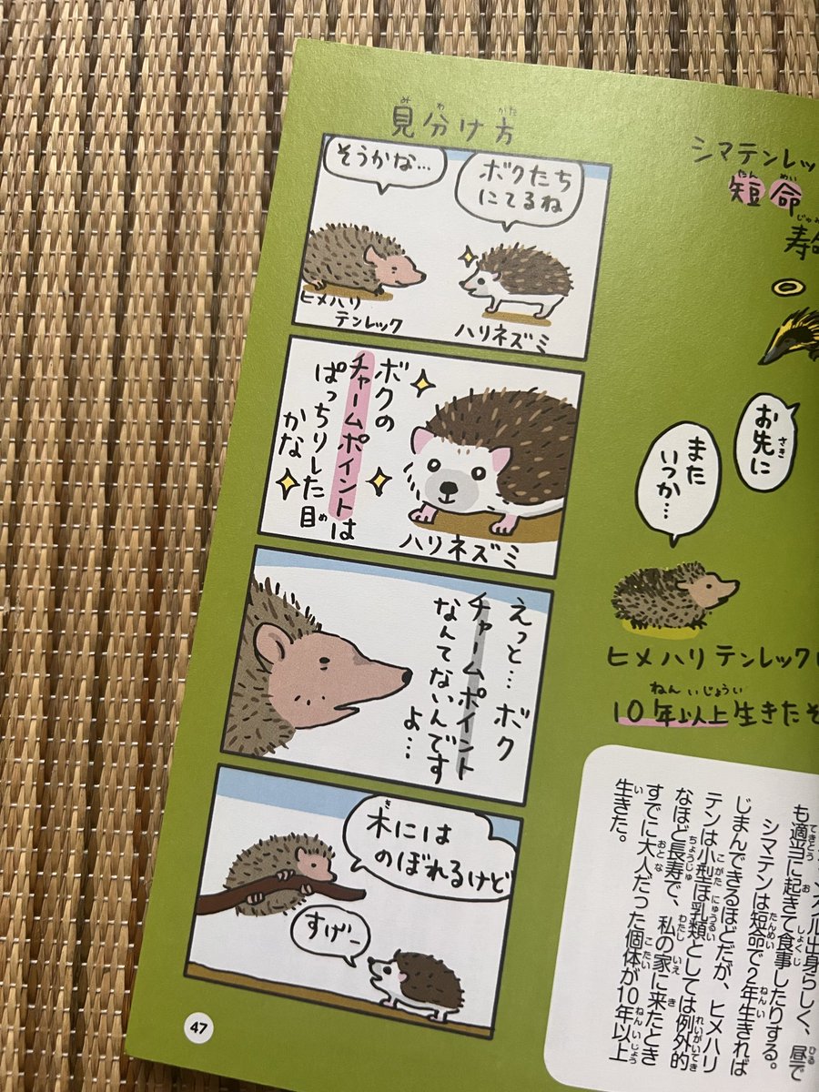 コハラアキコ tweet media
