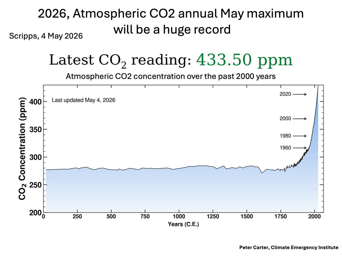 PCarterClimate's tweet image. ATMOSPHERIC CO2 433.5 PPM, CLIMBING TO ANNUAL MAY MAXIMUM
Global fossil fuel CO2 emissions are record high, and carbon sinks are weakening. 
keelingcurve.ucsd.edu
#CO2   #climatechange #globalwarming
