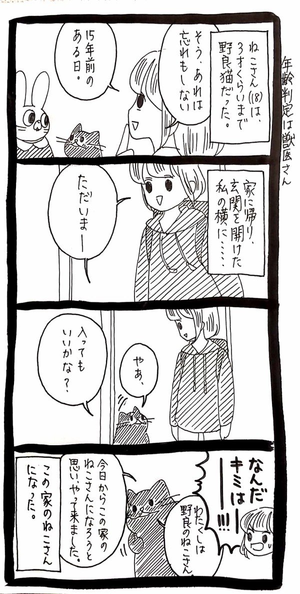押しかけ家猫 