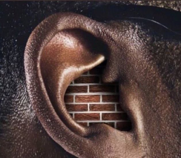 x – shea @sorealmp3 tweet media