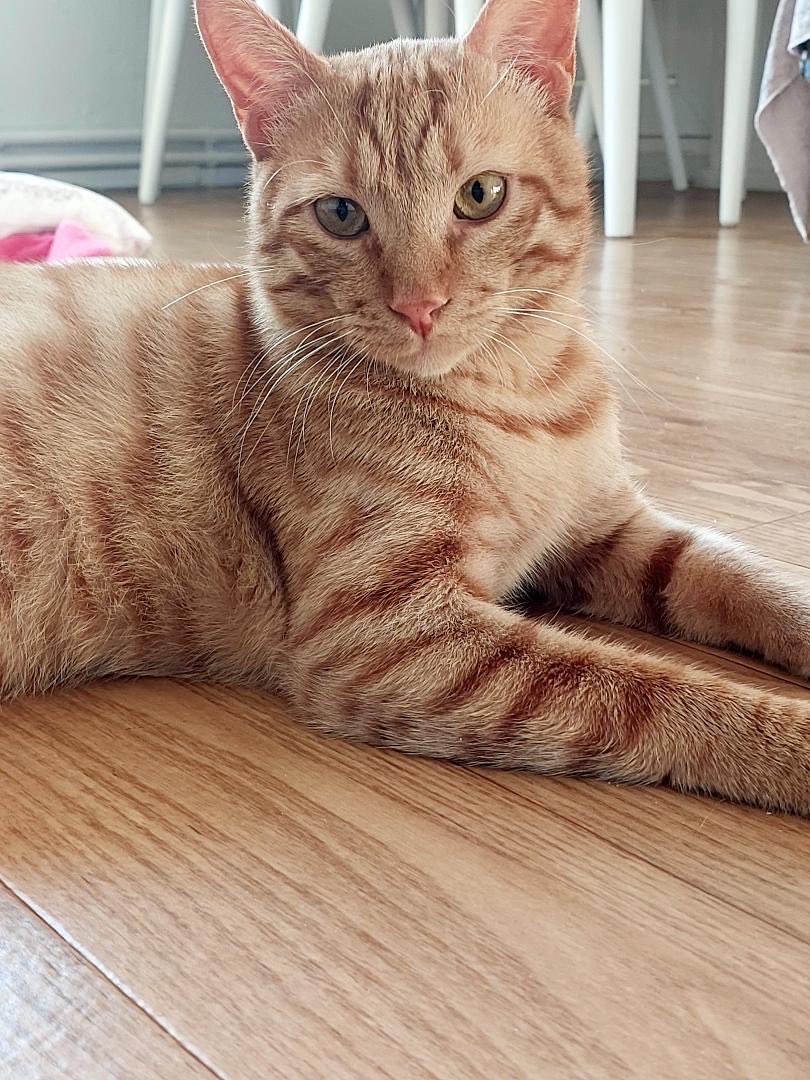 Özlem 🐾 tweet media