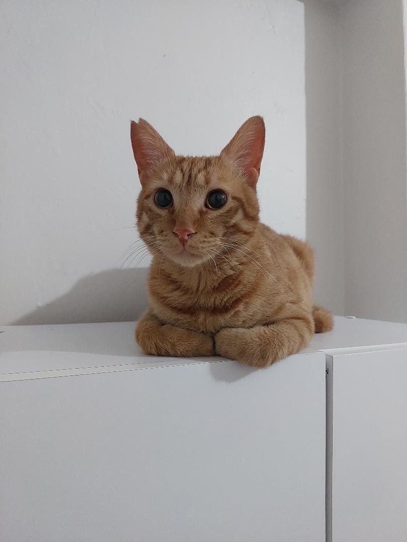 Özlem 🐾 tweet media
