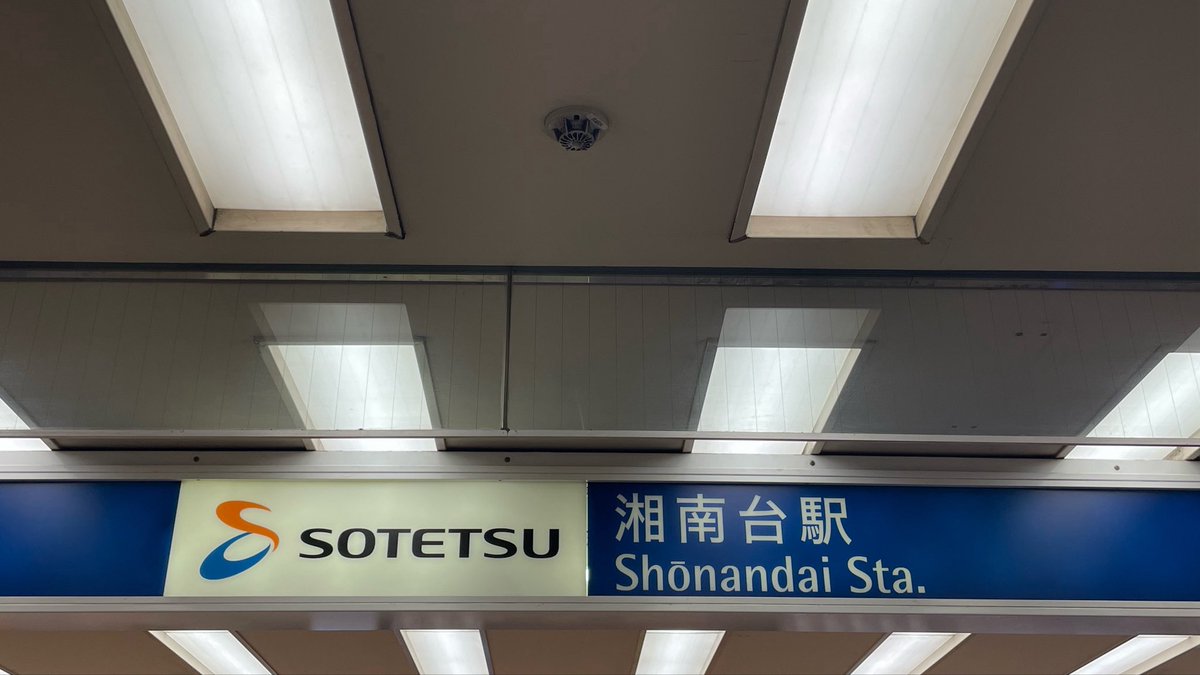 てるい@東寺の五重塔のひと🀒 tweet media