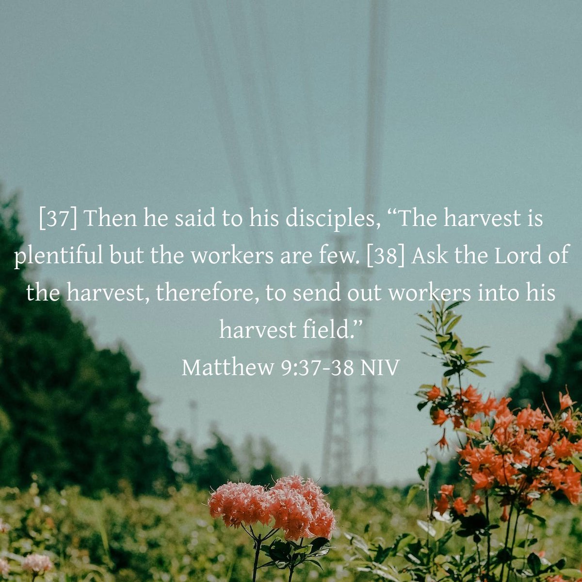 John the Apostle tweet media
