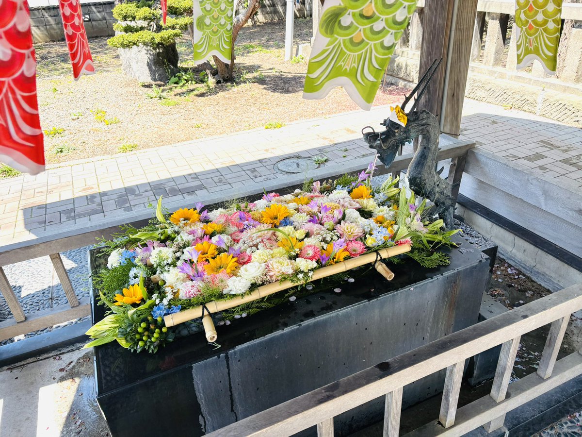 井田えび tweet media