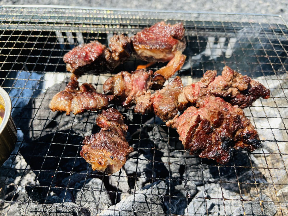 ただの紙束 tweet media