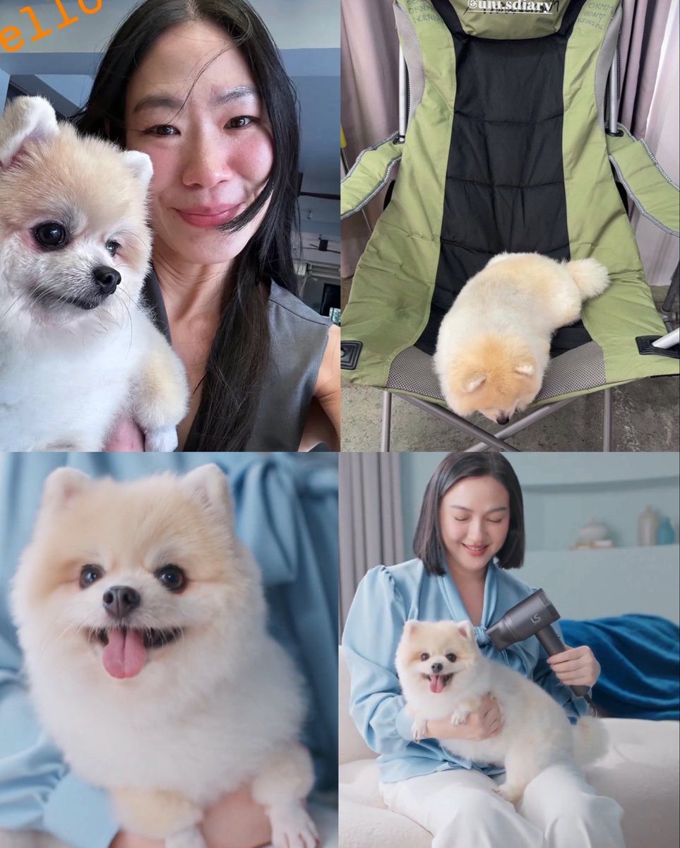 K.Mayazo._.hyemAn🐻‍❄️🐶🐹 tweet media