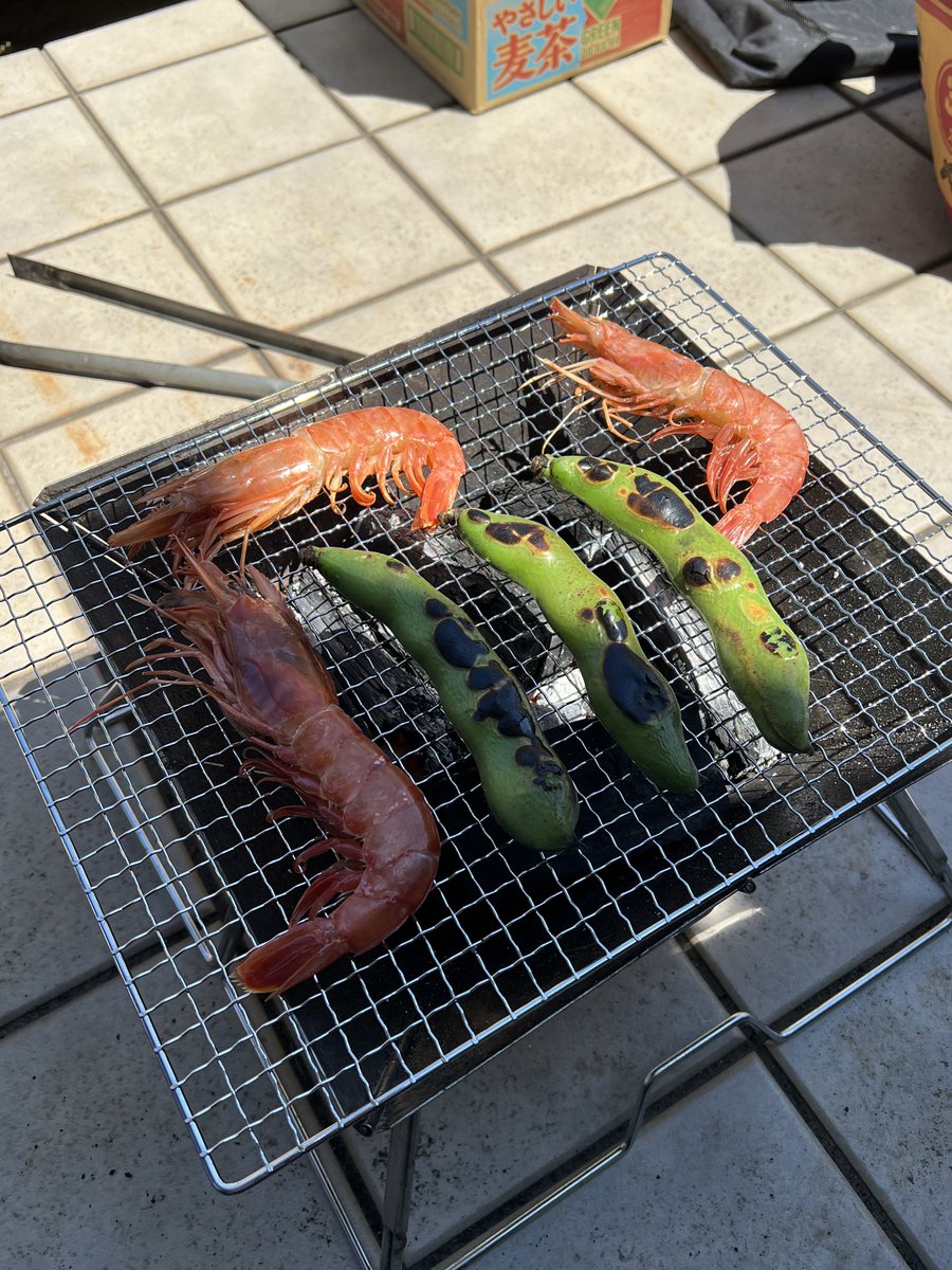 YOU_8_3334's tweet image. バーベキュー、始めました。
#バーベキュー #BBQ #そら豆 #海老 #お酒