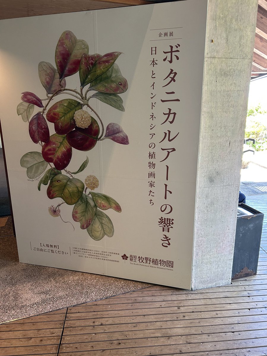 高知市 #高知県立牧野植物園 雑草という草はない、とはよくいったもの