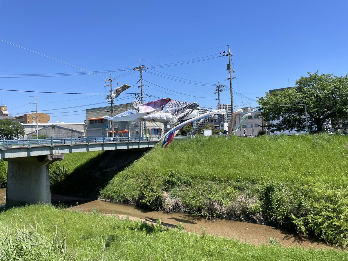 稲村勝樹（いなむらまさき） tweet media