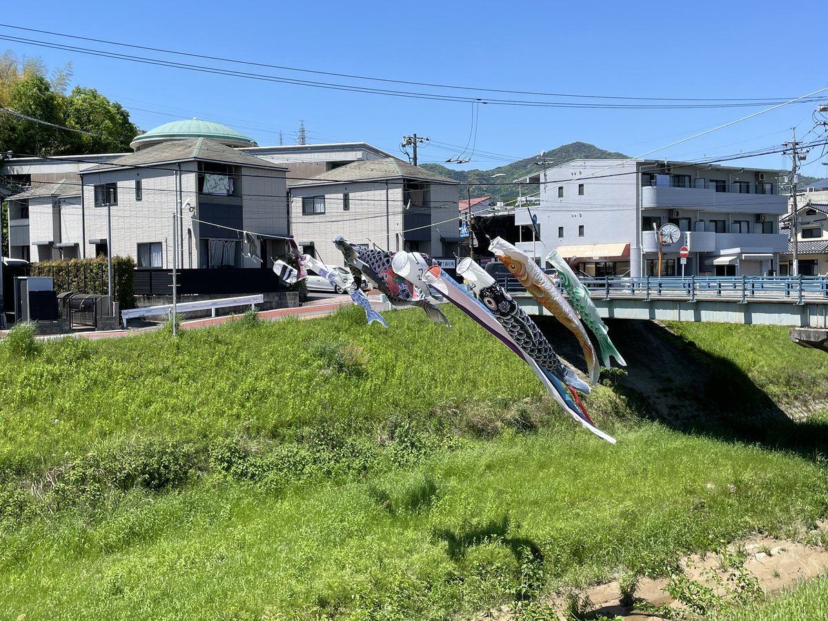 稲村勝樹（いなむらまさき） tweet media