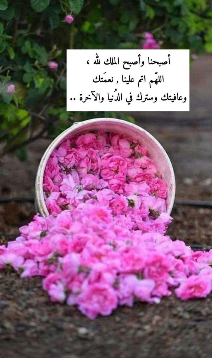 رام ☔️ tweet media