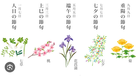 BlakeDyson1999's tweet photo. 五節句（ごせっく）は、1/7人日、3/3上巳、5/5端午、7/7七夕、9/9重陽の5つの節目の日。

古代中国の陰陽五行説に由来し、奇数が重なる日に邪気を払う行事として江戸幕府の公的な祝日となり定着。

現代も健康や長寿、子どもの成長を願い、節句飾りや特別な行事食を食べる文化が残っています。 https://t.co/I5LVPBlGF7