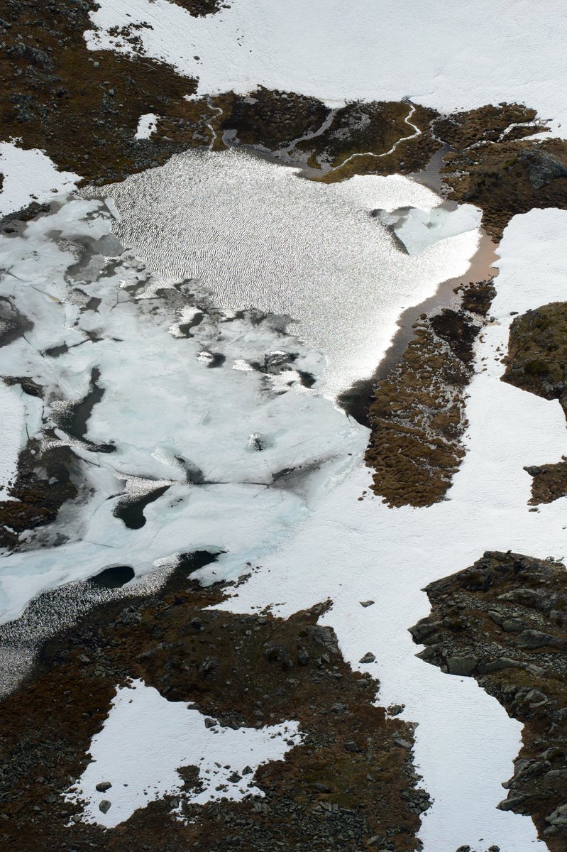 lassetur_n's tweet image. Nature

Spring in the mountains, photographed June 26, 2012. Summer is coming, but it is short before autumn and a new long winter takes over again. Plenty of snow and darkness, with a brief and intense summer.

50701732
#Nature #Norway #lassetur