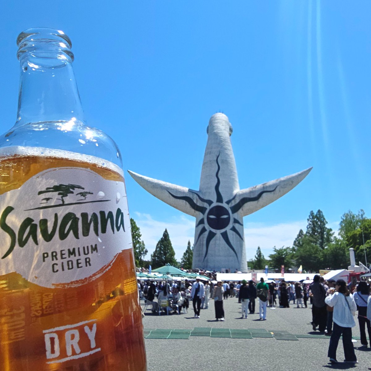 南アフリカからやってきたサバンナサイダー！アルコールは6%なので飲みやすい🍎🫧