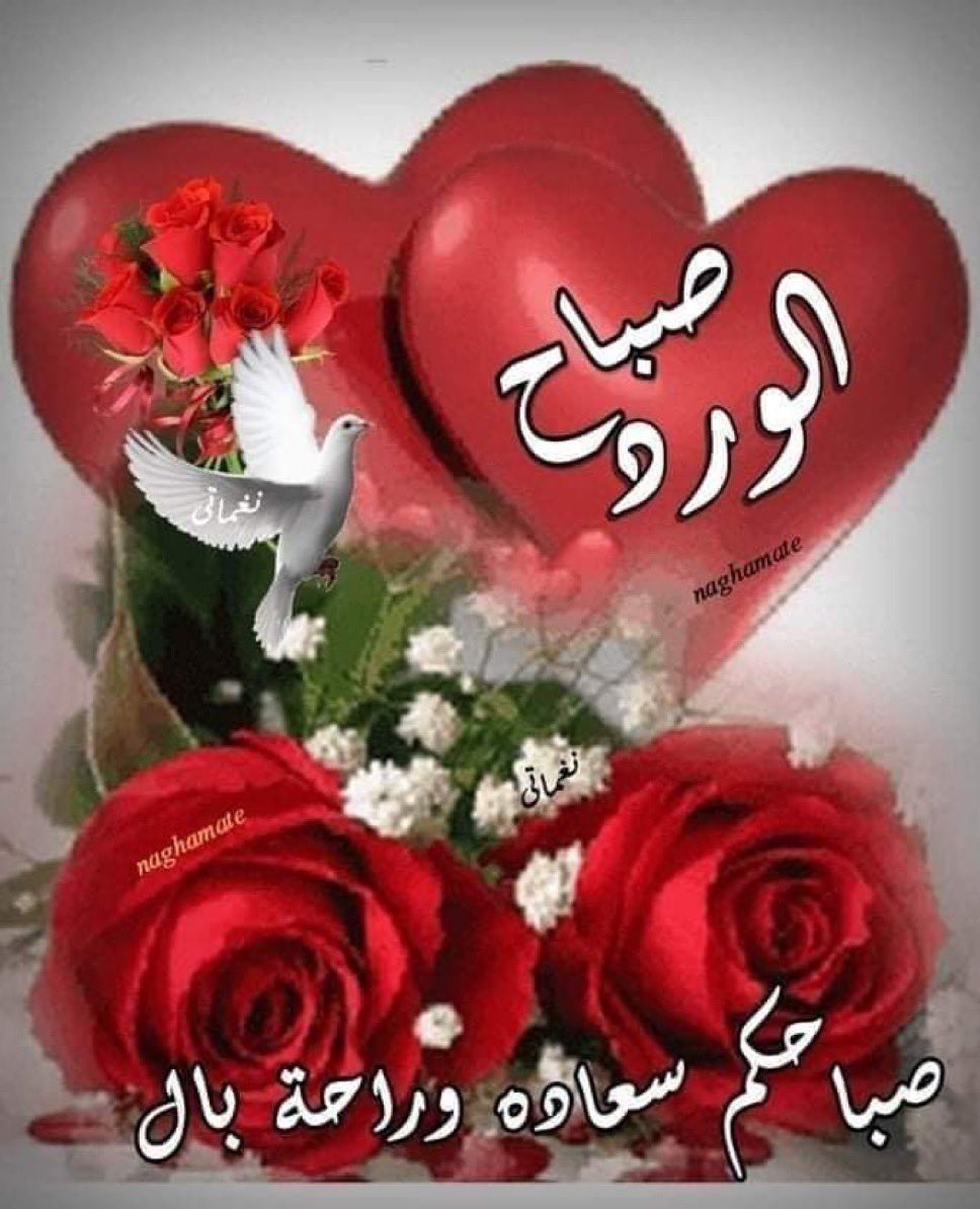Ahmed Ahmed tweet media