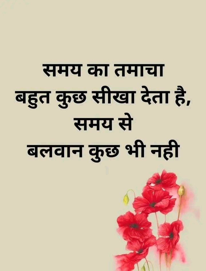 Noor tweet media